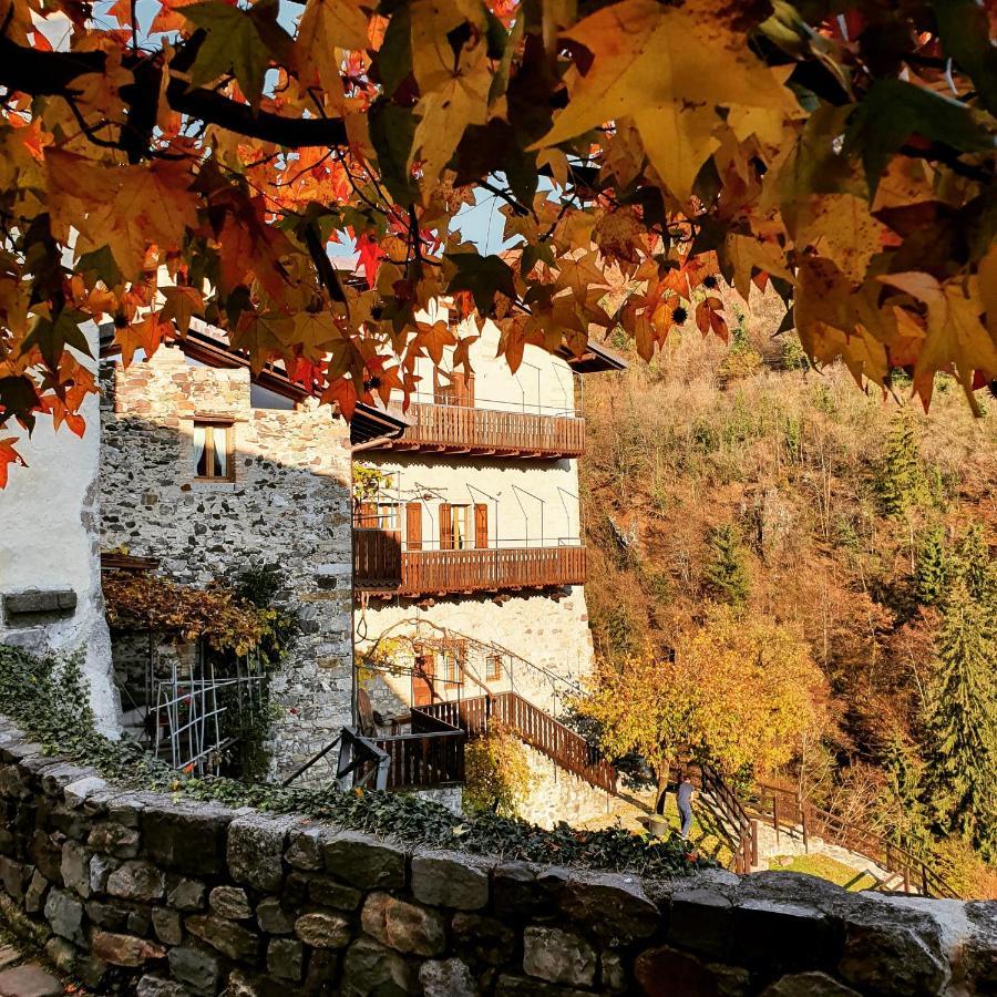La Tana Del Tasso Rooms&Breakfast Camerata Cornello Exterior foto